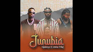 Ugaboys x John Frog - Junubia [Official Audio]