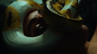 Lana Lubany - THE SNAKE (visual)