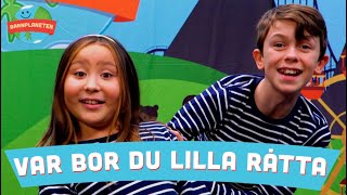 Var bor du lilla råtta - Barnmusik och barnlåtar med Minikompisarna