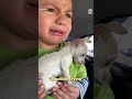 Compassionate boy cries when his puppy cries