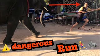 ❌ระทึก⚠️ช้าง บัวบาล ไล่แทงควาน แทงรถ วิ่งเตลิดหนี🏃‍♂️🐘dangerous ❌❌