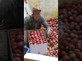 Apple season in Himachal 🍎 ll Apple harvesting ll #appleorchard #appleharvest #farmlife #viral