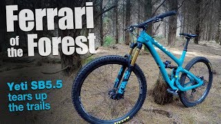 Ferrari of the Forest - testing Yeti's SB5.5  [Ep#7]