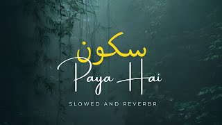 sukoon paya hai bekasi ne 🙃 || Best Naat (Slowed+Reverb) Naat sharif status 2024