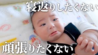 【生後４ヶ月】絶対に頑張りたくない赤ちゃん（笑）寝返り応援したらまさかのギャン泣き！【乳児】