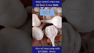 નવા લસણ ના બજાર ભાવ | લસણ ના ભાવ ગોંડલ | lahsun ka bhav Gondal | Gondal Marketing Yard 8/7/24 #short