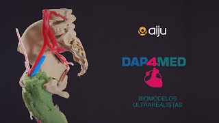 Biomodelos funcionales ultrarealistas y su implementación en el sector sanitario – DAP4MED