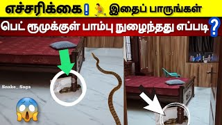 😱பெட் ரூமுக்குள் உலா வந்த பாம்பு || எந்த வழியாக உள்ளே வந்தது || மீண்டும் வராமல் தடுப்பது எப்படி? ||