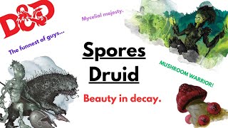 HOW TO PLAY A CIRCLE OF SPORES DRUID IN D\u0026D 5E (2024)