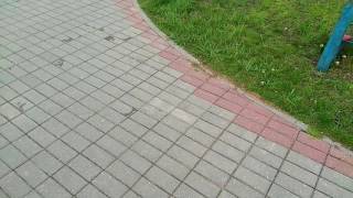 Провальная тема закрыта!