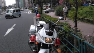 白バイが見守る西新宿8　一停止取り締まり地点 motorcycle police keeps an eye on the regulation place of stop at a one time　