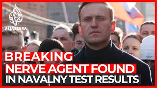 Nerve agent Novichok found in Russia's Alexey Navalny: Germany