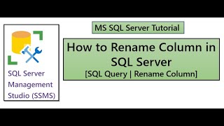 How to Rename Column in SQL Table | MS SQL Server | [SQL Rename Column]