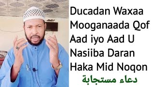 Ducadan Waxaa iska Dhegatira Qof Aad iyo Aad U Nasiib Daran Haka Mid Noqonin Kuwaas Nasiibka Xun