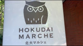 北海道大学の美しい自然の中で北大牛乳と野菜たっぷりのシチューランチ