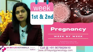 Pregnancy के 1, 2 weeks में क्या होता है, क्या करना चाहिए, शिशु का विकास, क्या खाना चाहिए in Hindi