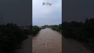 Flood Alert❌ at Veerpandi River Vaigai River Theni 😱 #flood #alert #river #theni #veerapandi #vaigai