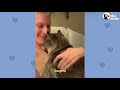 clingy cat has to be with dad 24 7 the dodo soulmates