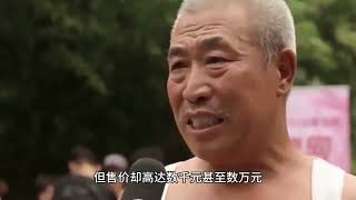 层出不穷的老年人养生骗局