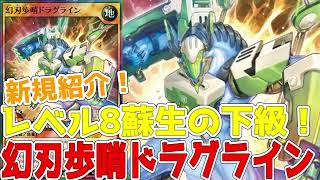 【ラッシュデュエル】新規紹介！幻刃歩哨ドラグライン！レベル８幻竜族を蘇生し墓地回収までついてくる！！！【遊戯王】