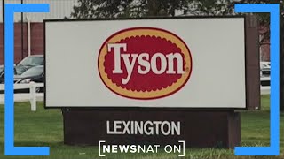 Feds should hold Tyson accountable for Nebraska layoffs: Senate candidate | Morning in America