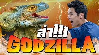 เปิบพิสดารล่าGodzillaเผากินฉลอง100Ep!!! [คนหลงรส EP.100]