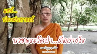 ครั้งหนึ่งได้บวชพระที่วัดป่า ได้พบเจออะไรบ้าง  | โมมาร์แตง | พระปัญญาวุฑโฒ | ผศ.ดร.ภ.พึ่งบุญ ปานศิลา