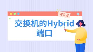 【技术专题】交换机的Hybrid端口