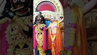 Jagannath Mahaprabhu Sri Chaitanya Mahaprabhu #shorts #jagannath #gauranga