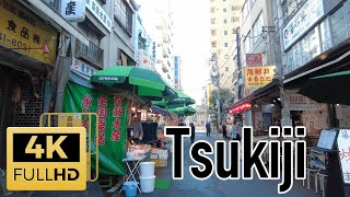 Tsukiji morning walk - One of the largest fish markets in Japan [4K Tokyo Walk]