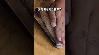 キジハタの三枚おろし捌き方 How to fillet red-spotted grouper. #shorts #ハウツー #捌き方 #howto