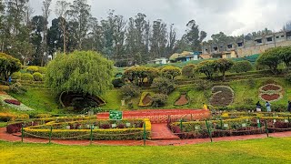 Ooty rose garden cinematic videography