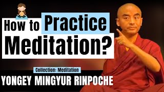 Easy Meditation Practice for Beginners - Yongey Mingyur Rinpoche | LSE 2018 【C:Y.M.R Ep.4】