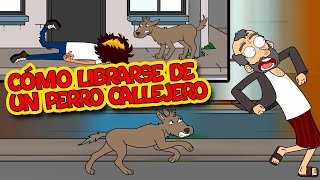 Cómo librarse de un PERRO callejero.   Desocupe Masivo