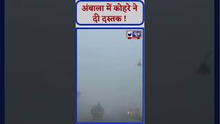 Ambala में घना कोहरा, हाईवे पर छाई धुंध की चादर | India News Haryana | #weather