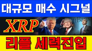 [리플] 너도나도 다 샀다 무거워도 너무 무거운 리플 곧 타이밍이 올 것입니다