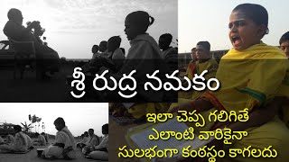 vedic mantra , Sri Rudram| swamiji| classes | శ్రీ రుద్రమ్| నమకం| శ్రీ స్వామీజీ