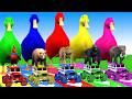 5 Giant Duck Cartoon, Cow, Mammoth, Elephant, Lion, Paint Wild Animals Crossing Fountain Animation