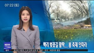 백리 벚꽃길 활짝.. 봄 축제 잇따라-R (190406토/뉴스투데이)