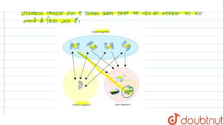 GPS के उपयोग लिखिए।  | 12 | संचार व्यवस्था  | PHYSICS | NAVBODH | Doubtnut