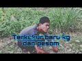 ajar terkukur pesom dan terkukur kg yang baru