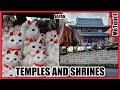 Japan Temples and Shrines