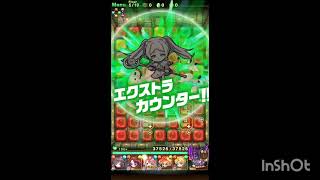 【ポコダン】【葬送のフリーレン】大迷宮攻略！翠緑の森迷宮