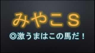 2014　みやこＳ　競馬予想