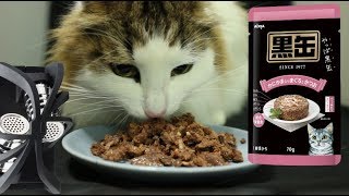 ［ASMR］猫が餌を食べる動画［黒缶 パウチ かにかま入りまぐろとかつお］