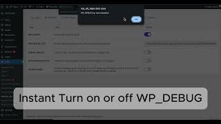 WordPres Debug Log Manager Tool