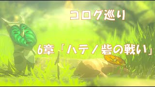 【ゼルダ無双　厄災の黙示録】6章　ハテノ砦の戦い　【コログ巡り】