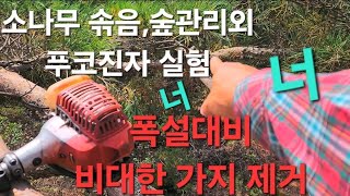 소나무만 살려두고 다 없애. 푸코진자는 뻥이고