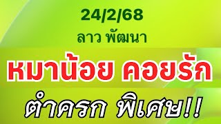 หมาน้อยคอยรัก ตำครก พิเศษ!! 🇱🇦24/2/68🇱🇦 #ลาวพัฒนา