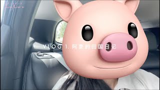 VLOG. 一起回家吧！✈️Axia的回国日记（流水账）📝 | Come Back To China With Me